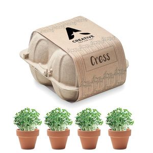 CRESS Kit di coltivazione in cartone