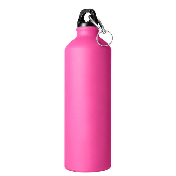 Goya 33545 - Gourde en Aluminium 750 ml avec Mousqueton MATT