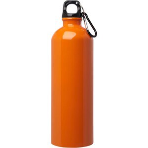 Oregon 750 ml RCS certified single wall stainless steel water bottle with carabiner - EgotierPro 100861