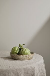 Vinga V26700 - VINGA Nuvem serveerschaal