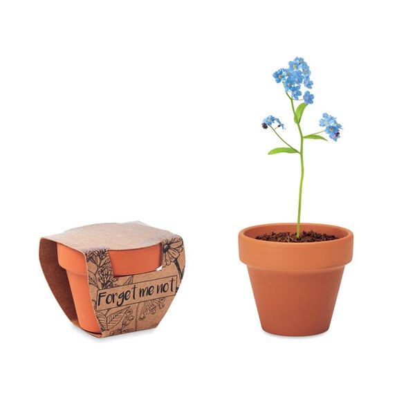 FORGET ME NOT Pot graines de myosotis - GiftRetail MO6146