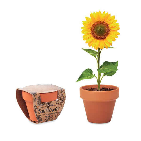 SUNFLOWER Pot graines de tournesol - GiftRetail MO6147