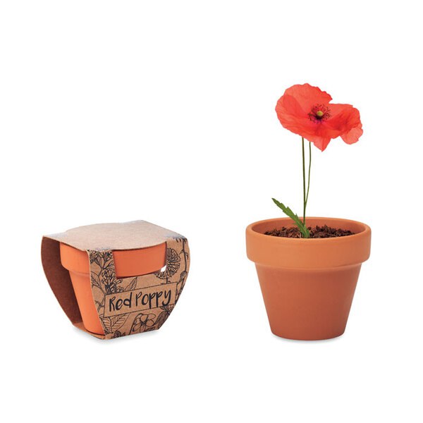 RED POPPY Potje Klaproos - GiftRetail MO6148