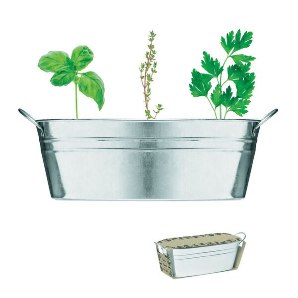 MIX SEEDS Bac en zinc & herbes aromatique - GiftRetail MO6497