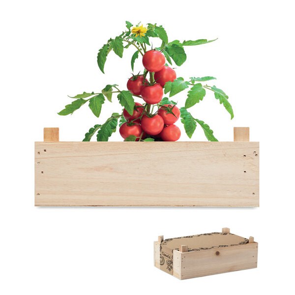 TOMATO Graines de tomates dans caisset - GiftRetail MO6498