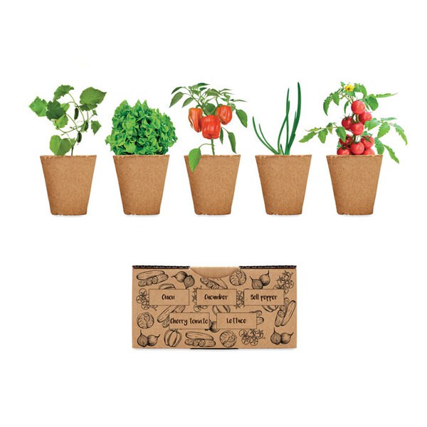 SALAD Salade kweekset - GiftRetail MO6499