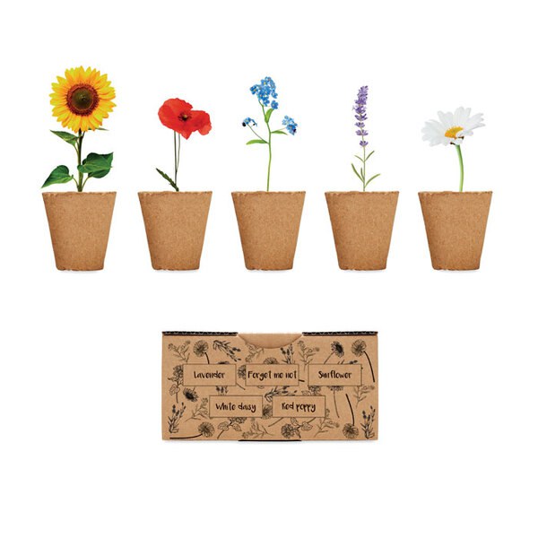 FLOWERS Bloemen kweekset - GiftRetail MO6500