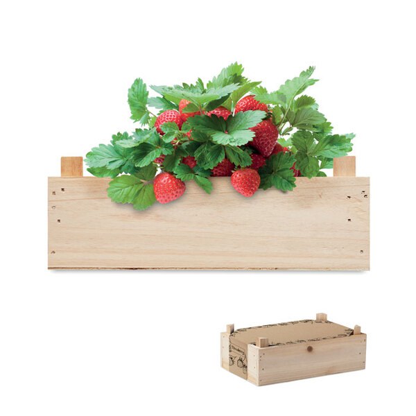 STRAWBERRY Aardbeienpakket in houten krat - GiftRetail MO6506