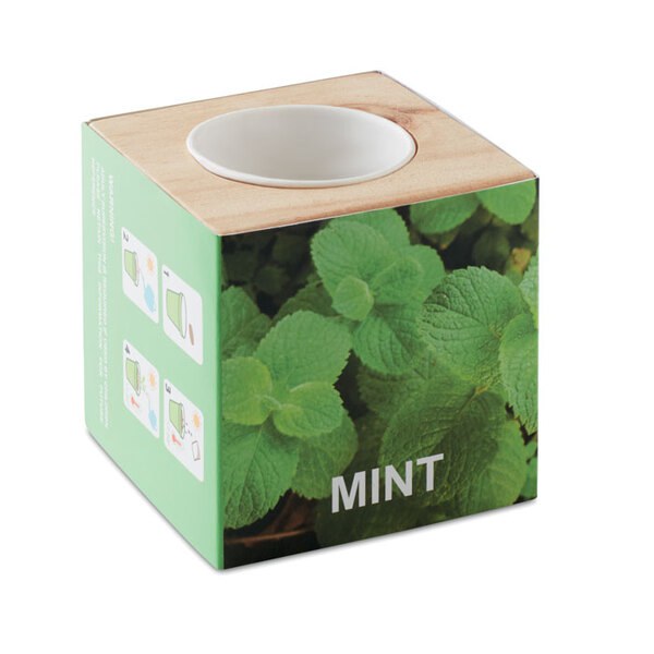 MENTA Pot en bois avec graine Menthe - GiftRetail MO9337