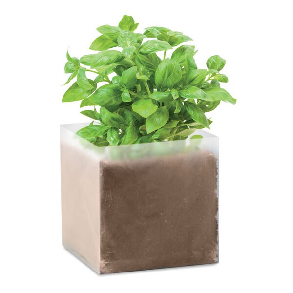 BASIL Basilicum zaadjes - GiftRetail MO9545