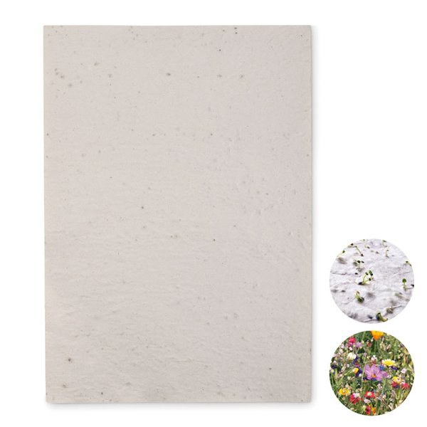 ASIDI Papier A4 graines de fleurs - GiftRetail MO6914