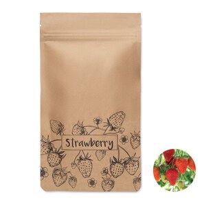 FRESA KIT Aardbeien kweekset - GiftRetail MO6928