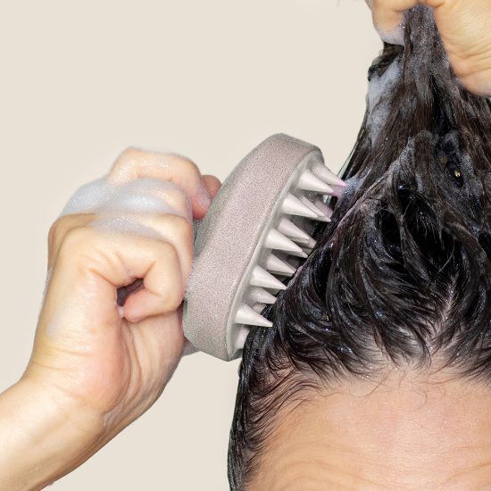 Goya 53010 - Émulsifiant Shampooing en Fibre de Blé et PP avec Picots Silicone CLOVE