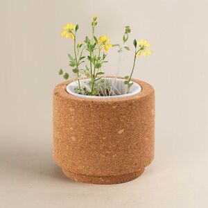 Goya 53531K - Kurken Pot met Wilde Bloemen Zaadjes LUWA